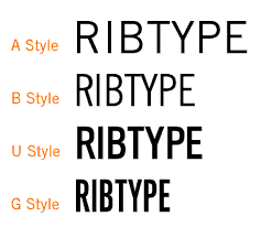 RIBtype type styles
